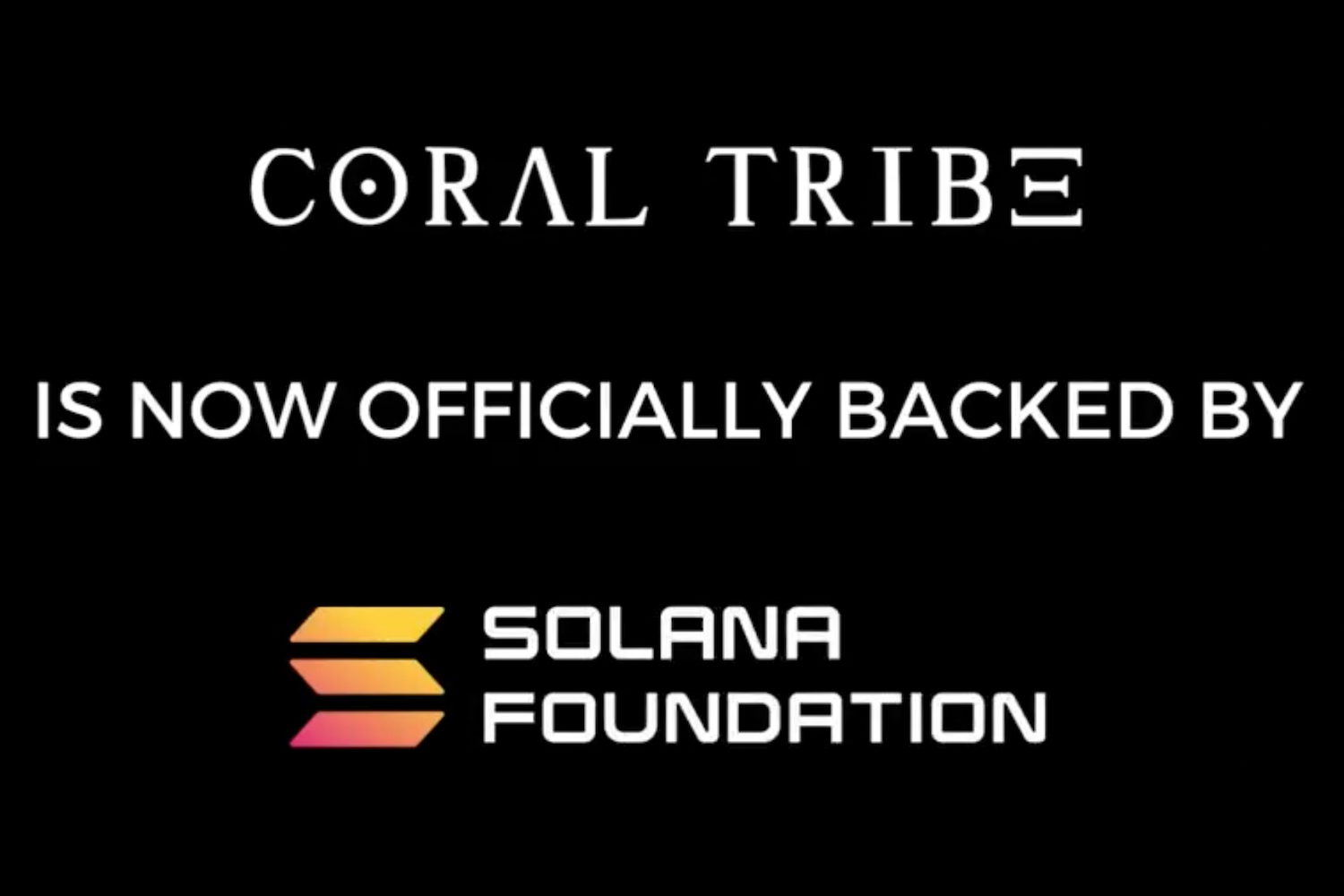 Solana Foundation Partners With NFT Project Coral Tribe