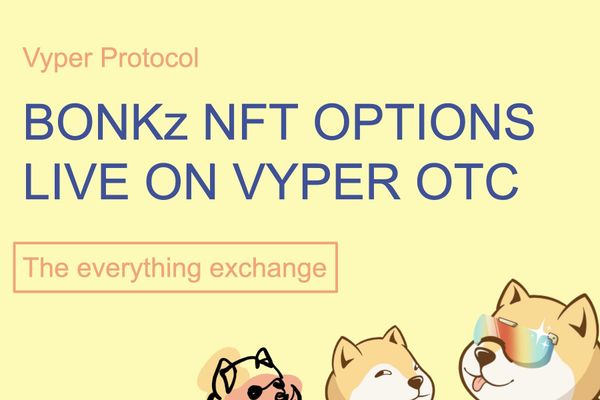 Vypher Protocol Launches BONKz NFT Options